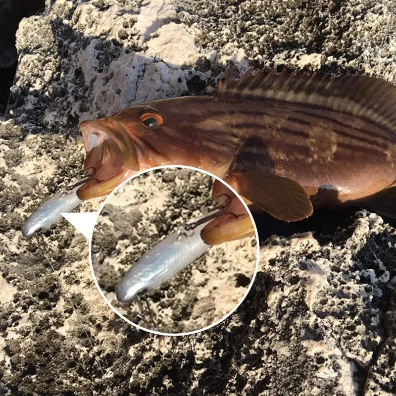 5pcs Lifelike Soft Fishing Lures with Cool Hooks for Success