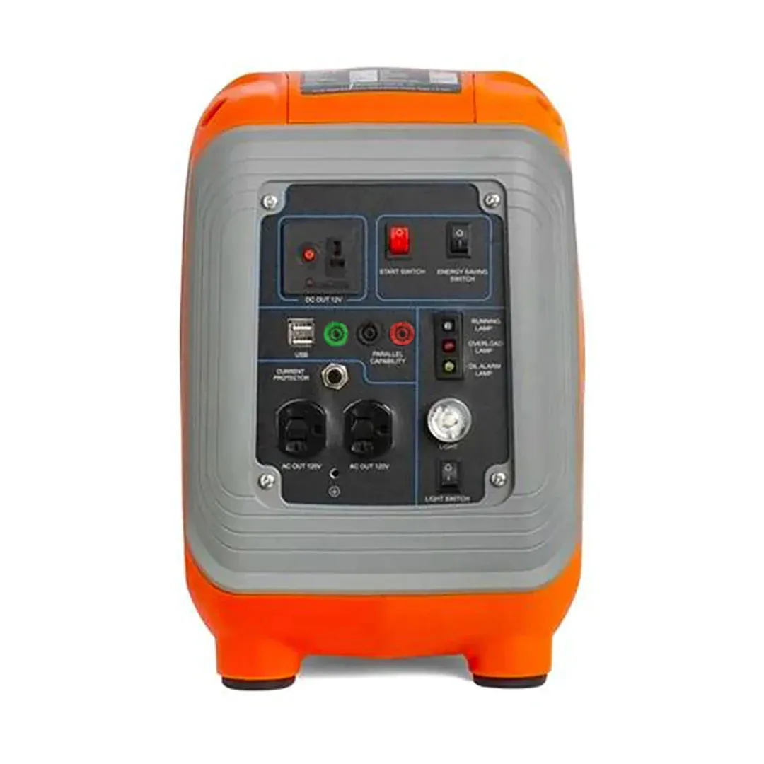 ALP 1000W Portable Propane Generator