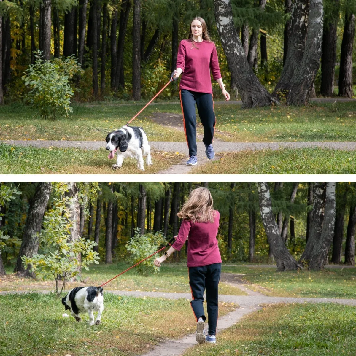 Dog Leash with Padded Handle 5ft