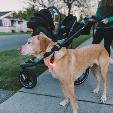 Gear Aid - Dog Collar Light Kit (Carabiner Light Kit)