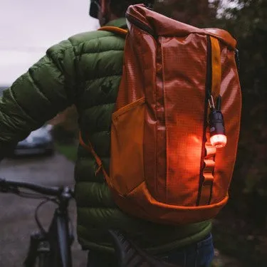 Gear Aid - Dog Collar Light Kit (Carabiner Light Kit)
