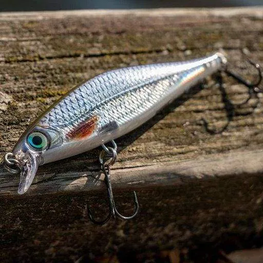 Rapala - Shadow Rap Shad Lure
