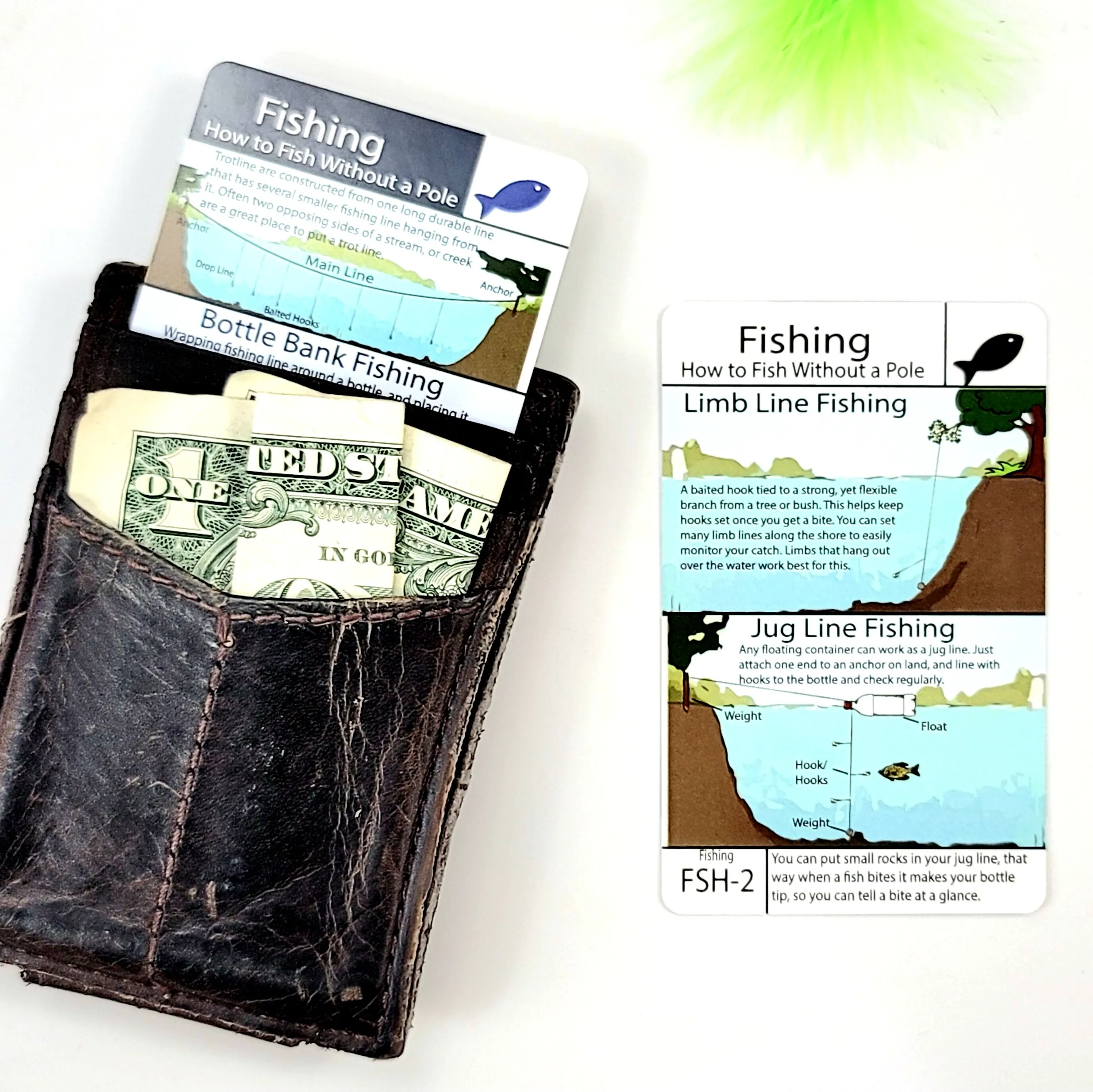 Tip Card FSH-2: How to Fish Without a Pole